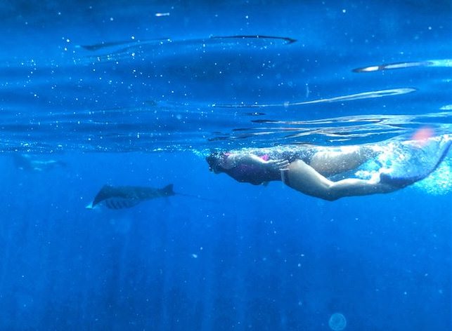 Menjelajahi Keindahan 10 Destinasi Snorkeling Terbaik di Indonesia