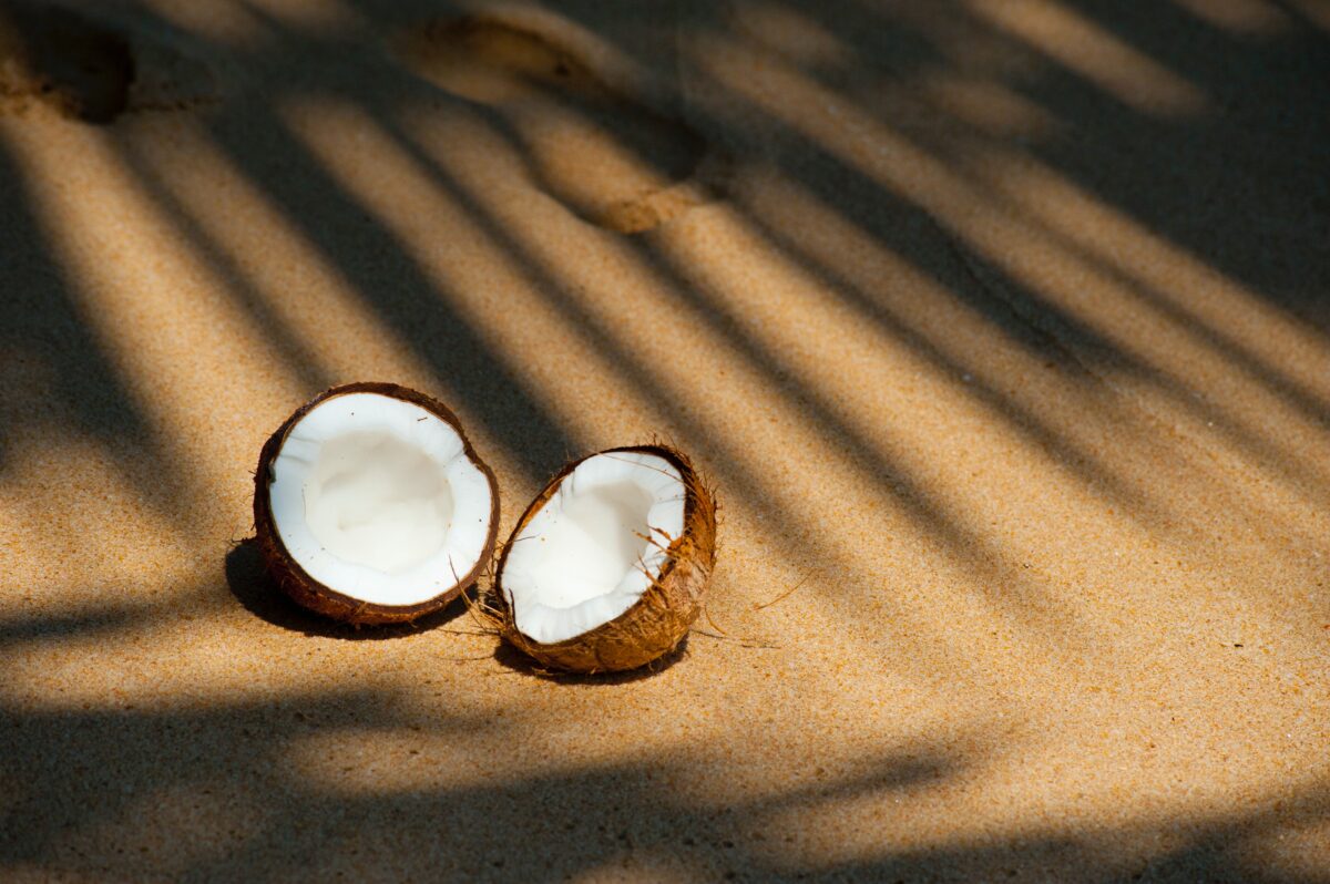 Manfaat Olahan kelapa