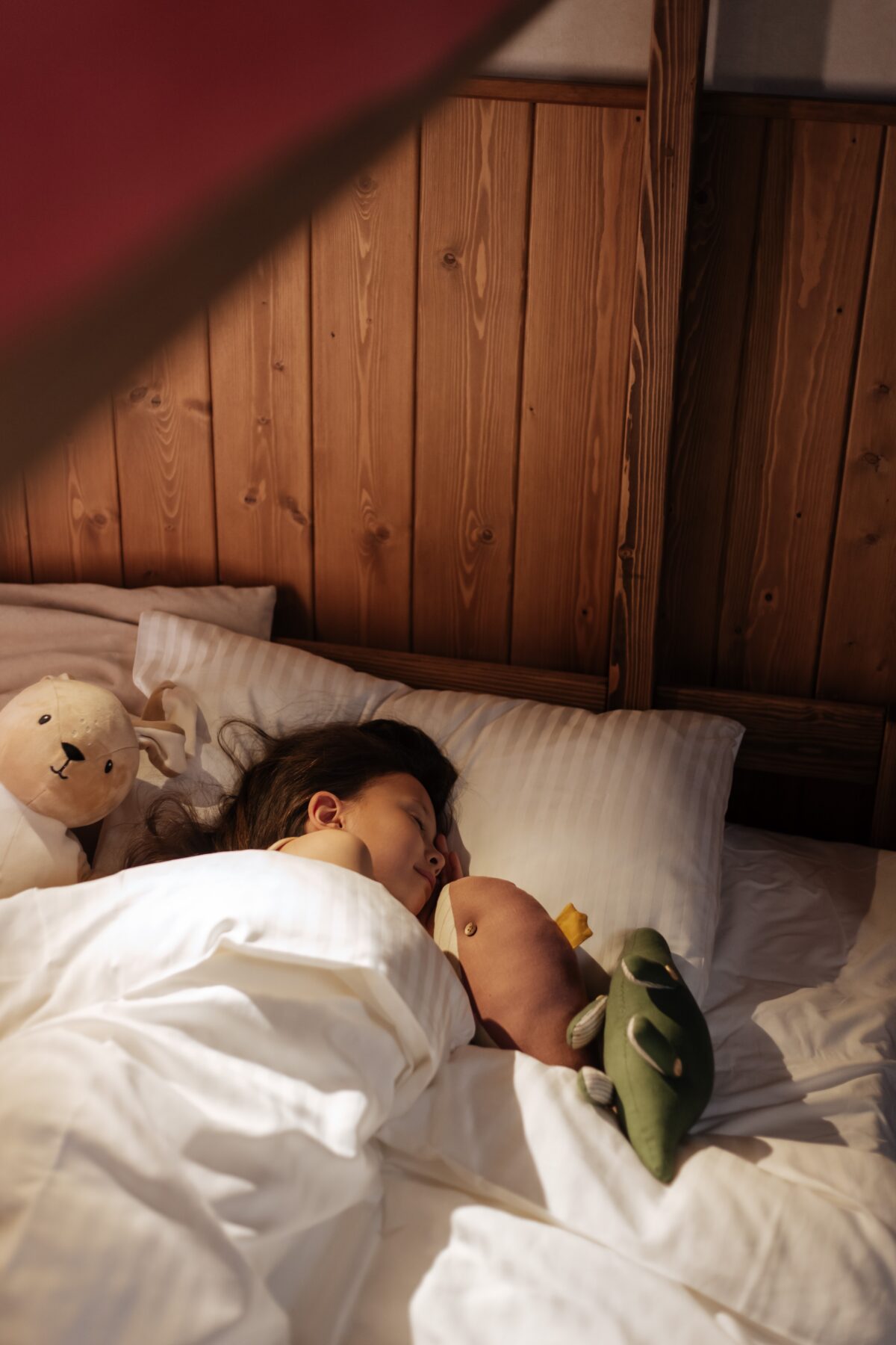 Pentingnya Kualitas Tidur Bagi Kesehatan Optimal