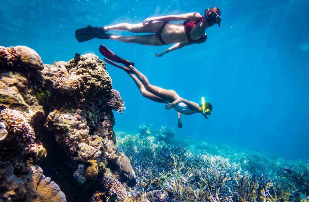 Snorkeling di Komodo