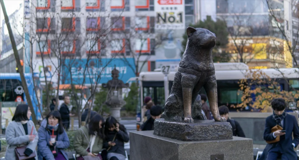 hachiko statue crowd